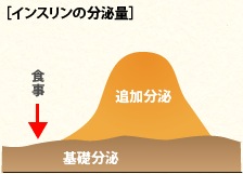 インスリンの分泌量 