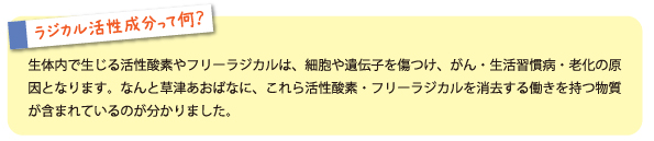 ラジカル活性成分って何？